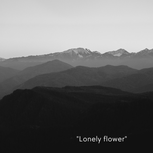 “Lonely flower”